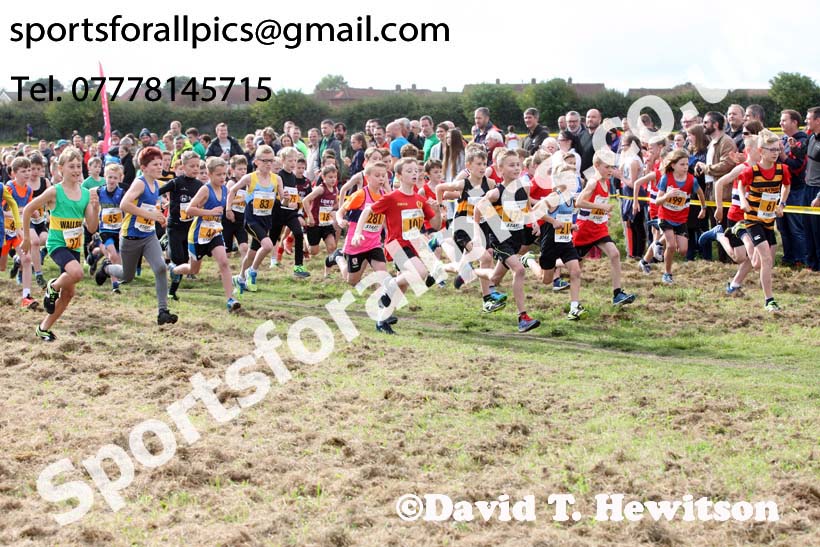 Boys under-11s Start Fitness North Eastern Harriers League, Wrekenton, Gateshead. Photo:  David T. Hewitson/Sports for All Pics